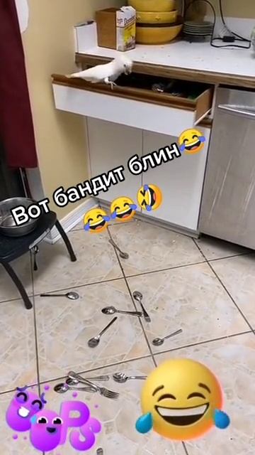-👍👍🤣👌😝😝😝