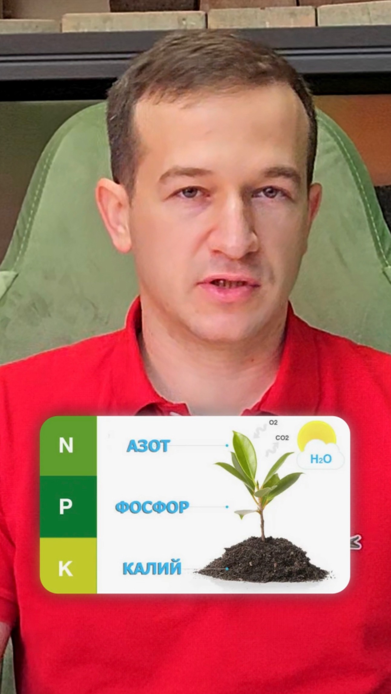 Чем же питается газон?