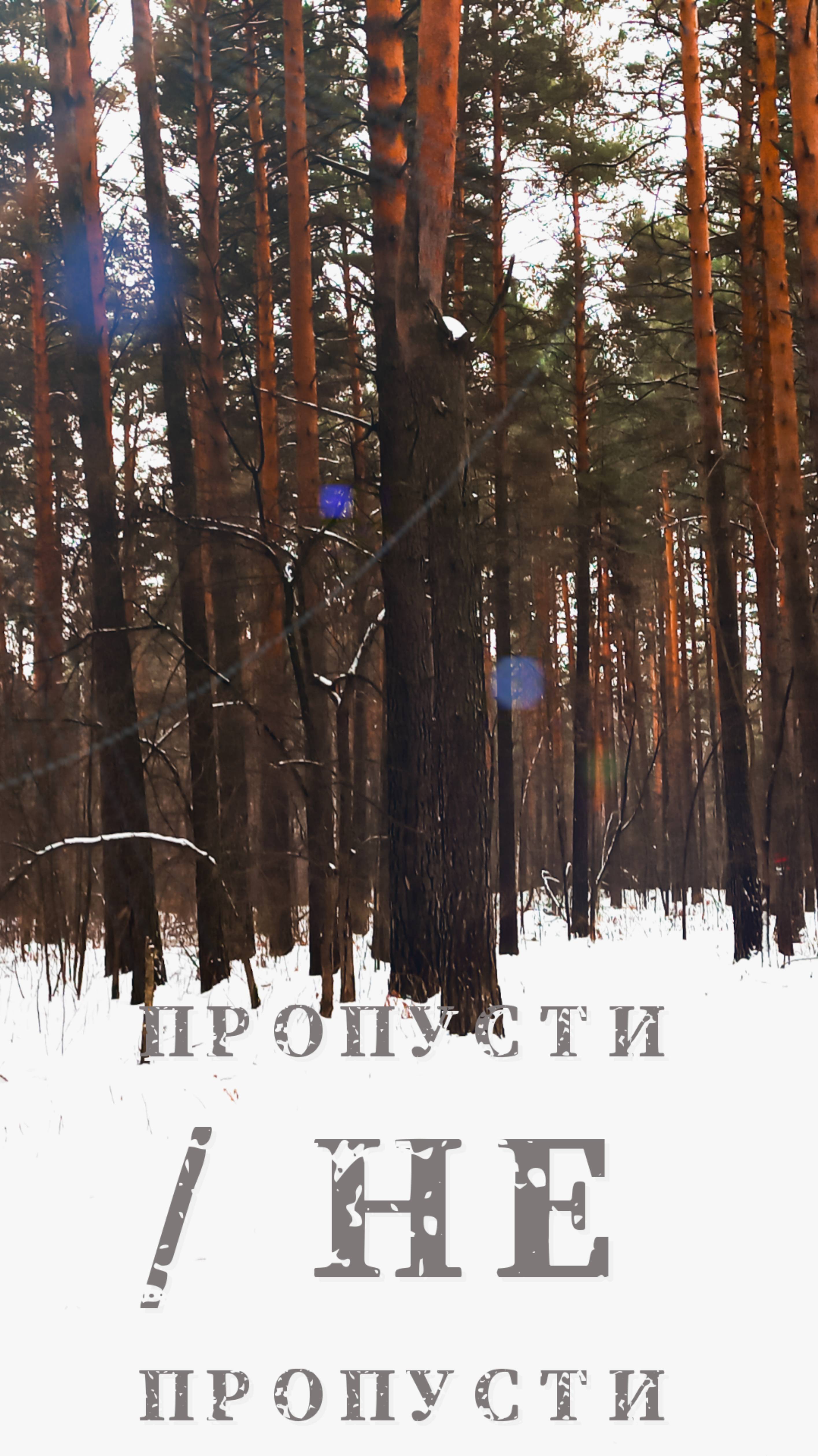 Пропусти, не пропусти#shorts