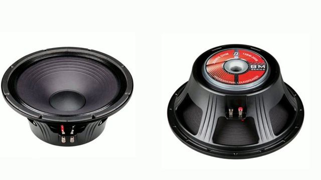 P audio 15bm 300b 300 watt speaker price and details!! P audio speaker for top!!