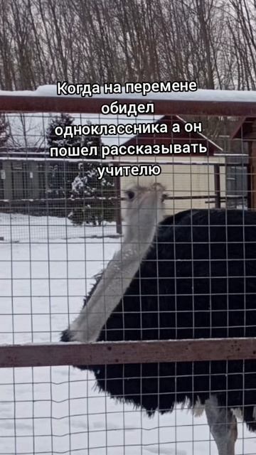 Мем когда обидел одноклассника