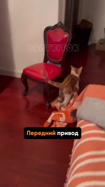 Передний привод