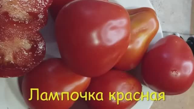 ТОМАТЫ.  КАТАЛОГ ТОМАТОВ 2024 г. Часть 3. Проверенные сорта. г. Киров