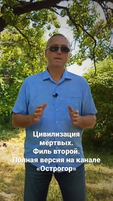 11 марта 2023 г.