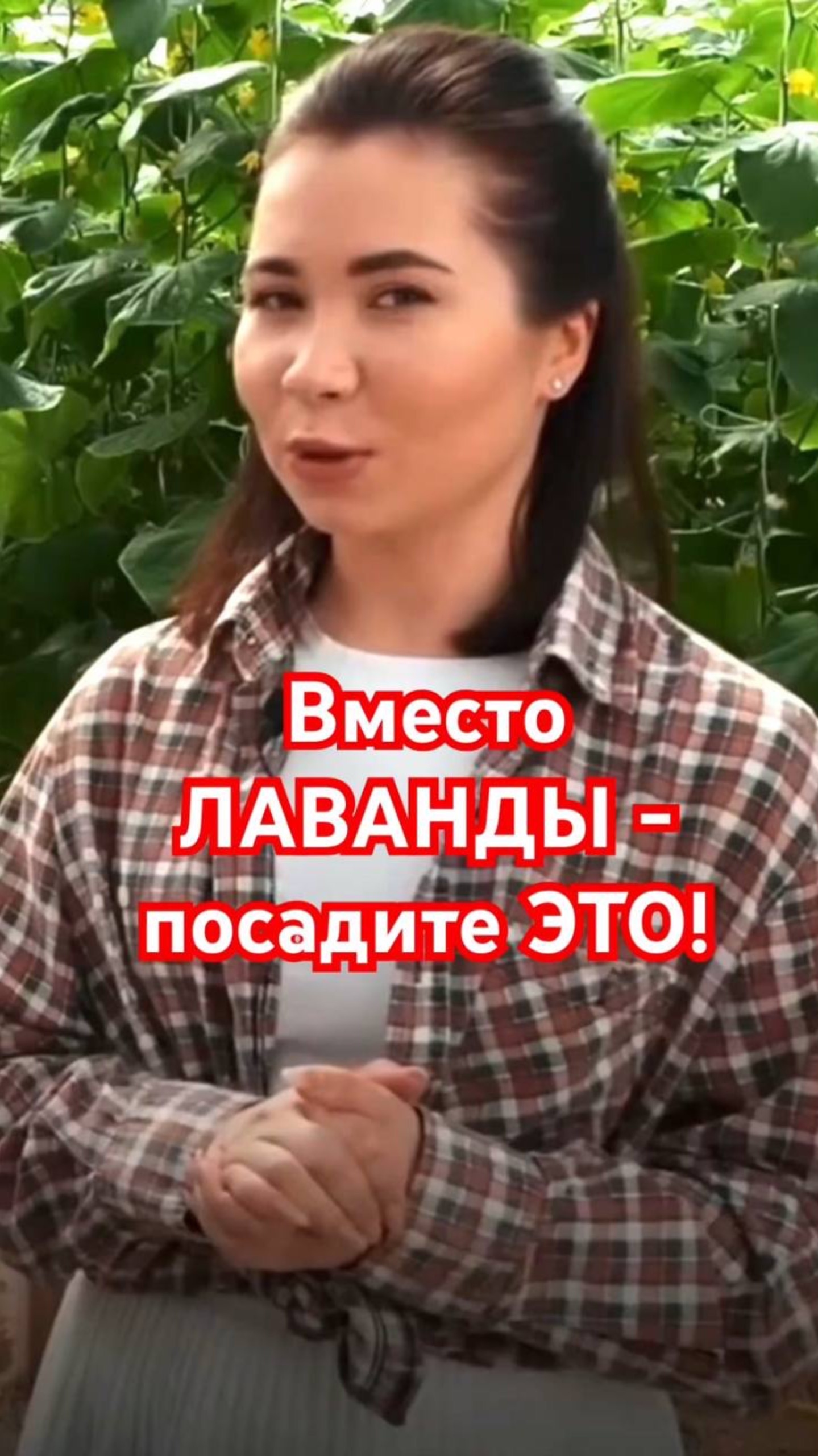 ТОП-5 МАЛОУХОДНЫХ растений, которые ЗАМЕНЯТ ЛАВАНДУ