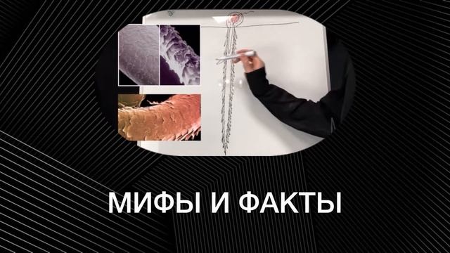 ОНЛАЙН КУРС ПО УХОДУ ЗА ВОЛОСАМИ В ДОМАШНИХ УСЛОВИЯХ
