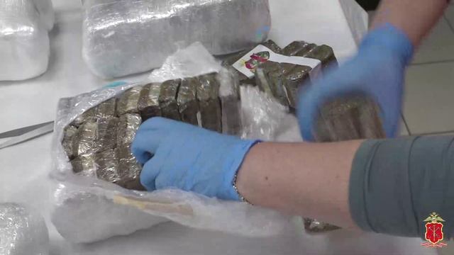 Полиция пресекла перевозку по Ленобласти крупной партии гашиша, спрятанного в багажнике машины