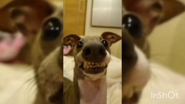 Школьники поймут! 😅😅😝