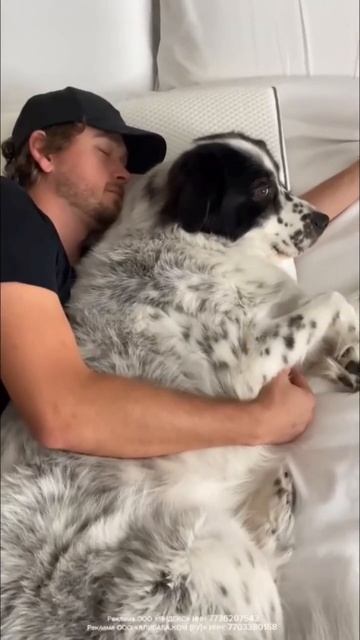 Подушка для пары AliExpress