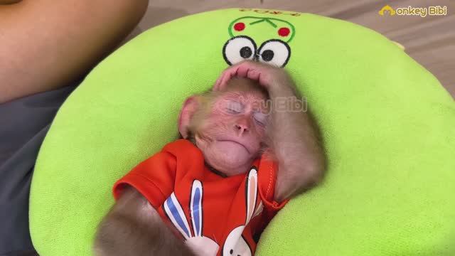 Обезьянка Биби искала папу | Для детей