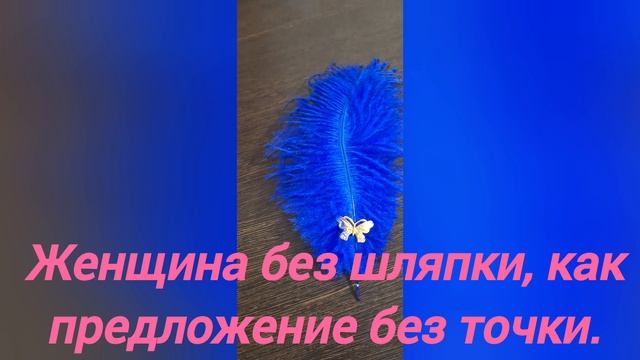 1000064208.mp4