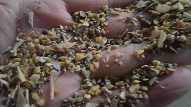 1000061551.mp4