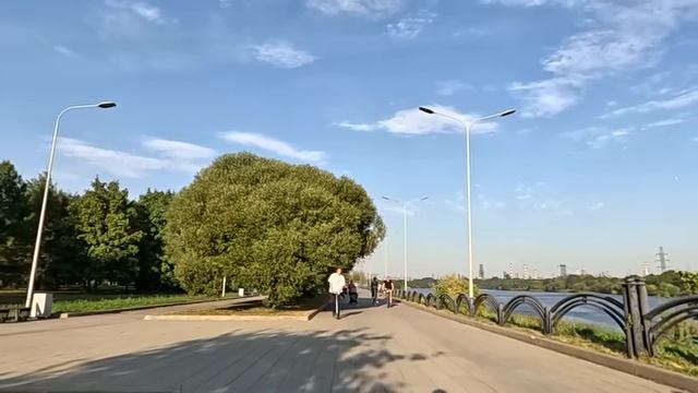 Решив сделать мужу сюрприз втайне от свекрови, спасла гадалку у трапа самолета… А едва она коснулась