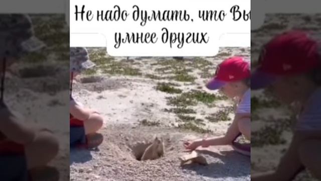 Никогда  не  обольщайтесь.