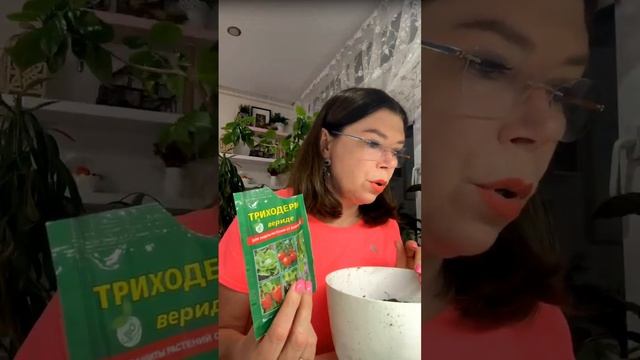 посадка эустом