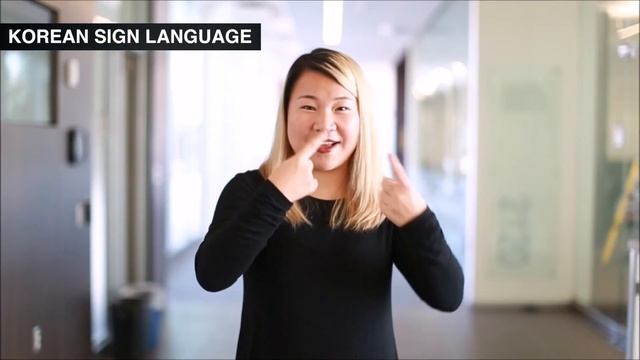 InternSign University: Website Platform For Learning Sign Languages From Around The World!