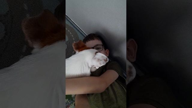 собака а
нападение 1 серия