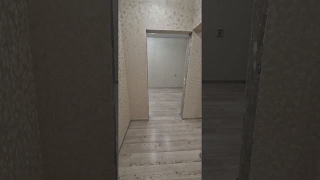 20241124_161256