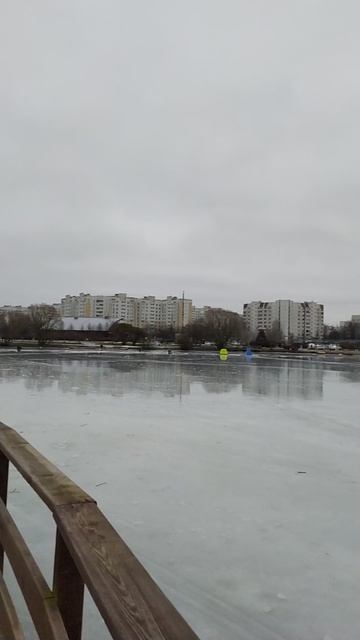 26.1.25 Москва, Южное Бутово