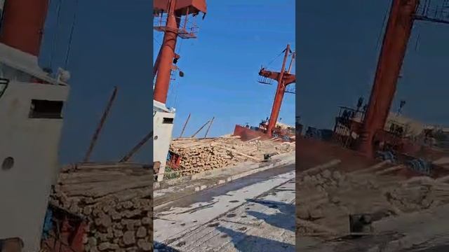 1000017059.mp4