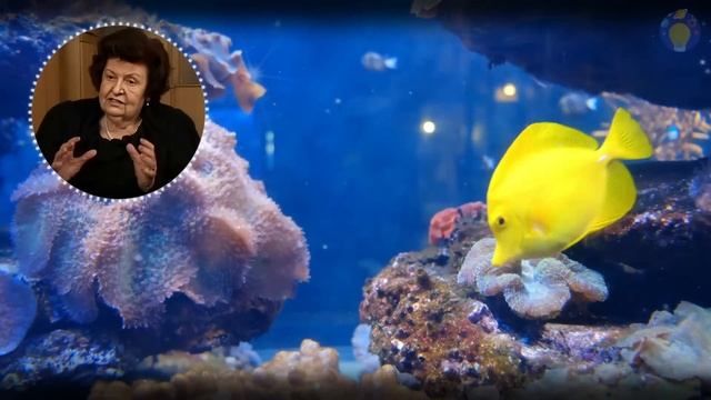 Бехтерева: Мне никто не верил, а зря... Академик Наталья Бехтерева о вещих снах и жизни после смерт