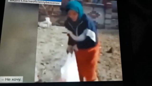 бабушка с красным флагом или лагерь нинзя #нинзя #мир #хонгильдон