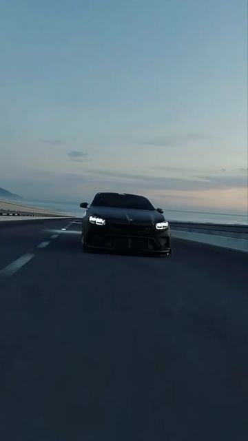 VID_20250128_163308_656.mp4