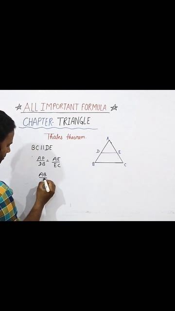 Thales theorem class 10 cbse| Triangle Class 10 Cbse