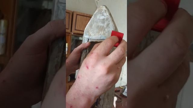 VID-20250126-WA0004.mp4