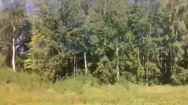 Минутка красоты природы и спокойствия