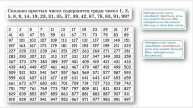 Простые и составные числа