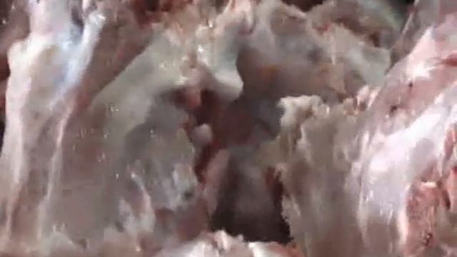 Мясокомбинат Голландия