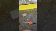 1000166028.mp4