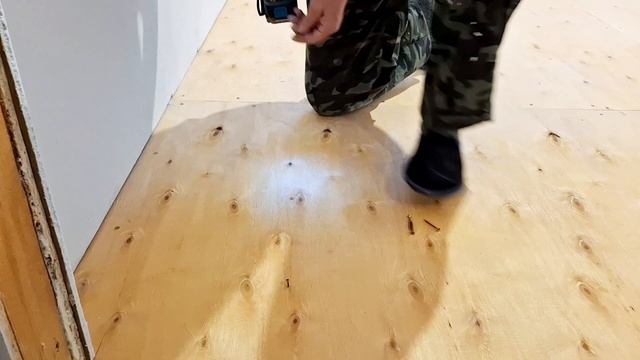 Шикарнейшие семена.Супер ремонт. Клёвая погода