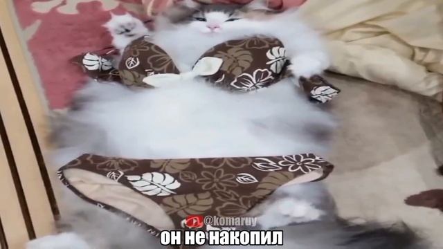 Он моя сосед