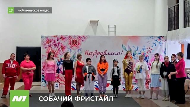 Чемпионат по кинологическому фристайлу. Нижневартовск