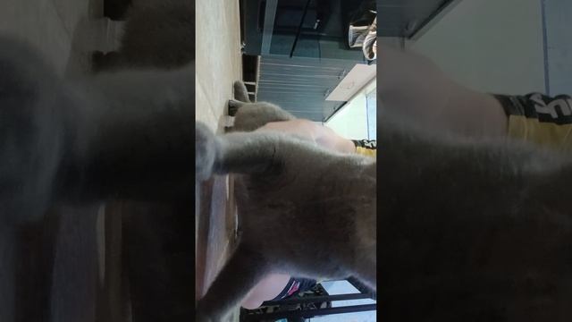 1000011430.mp4