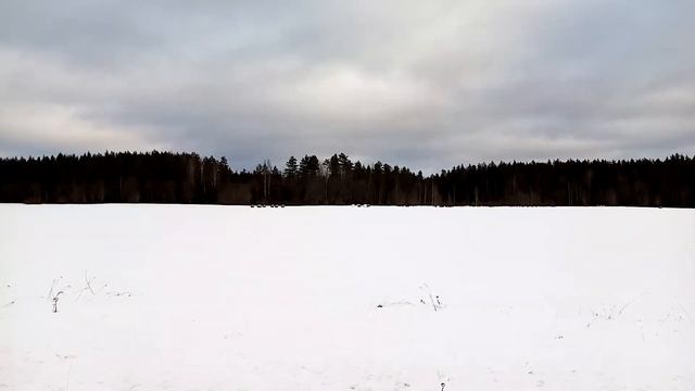 Зима, что на поле?