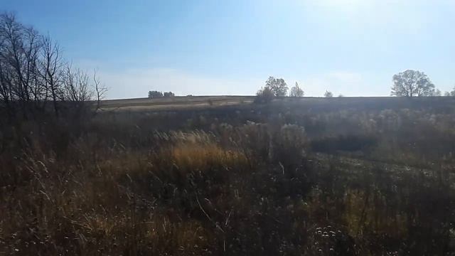 Анатомия меня. Стихи Ивана Бадхи. Читает автор.