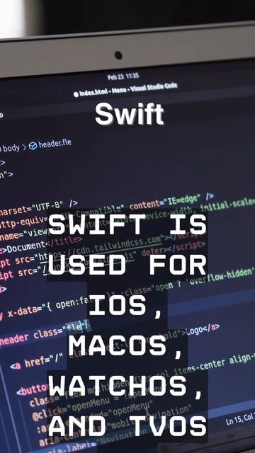 Unveiling the World of Programming: Discovering Facts About Various Programming Languages!
