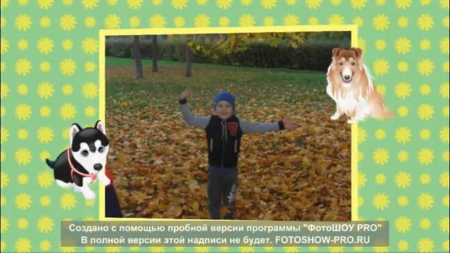 Выглянуло солнышко...