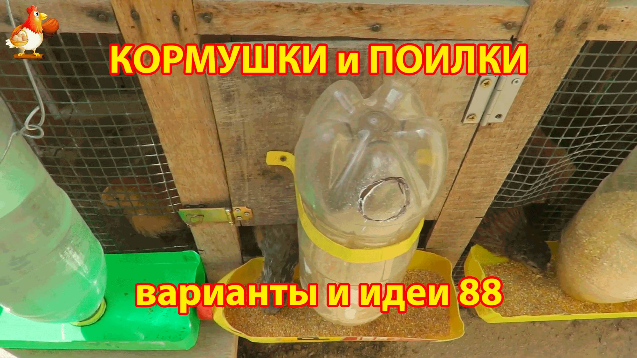 Кормушки и поилки для кур своими руками (88) 🪚✂️ Пошаговая инструкция как сделать 🐔 🐓❣️
