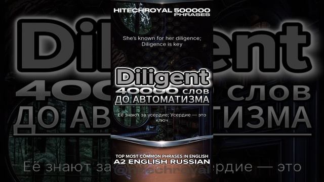 Diligente это? Значение, перевод примеры. Учи слово в минуту! Примешь вызов? 3000 слов за месяц!