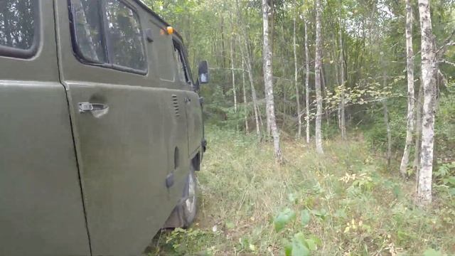 Едем за грибами