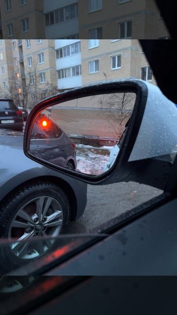 Индикация проверки системы BSW