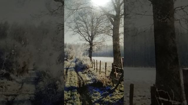 Краткий астрологический прогноз на 2025 год
