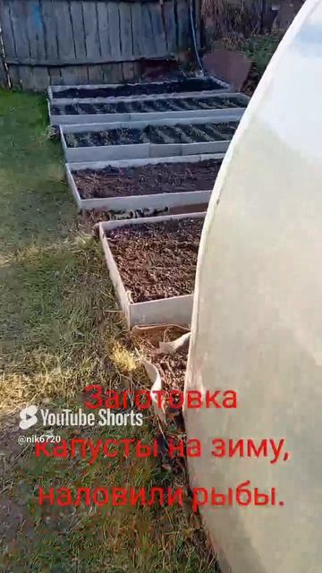 Наши заготовки капусты 🥦