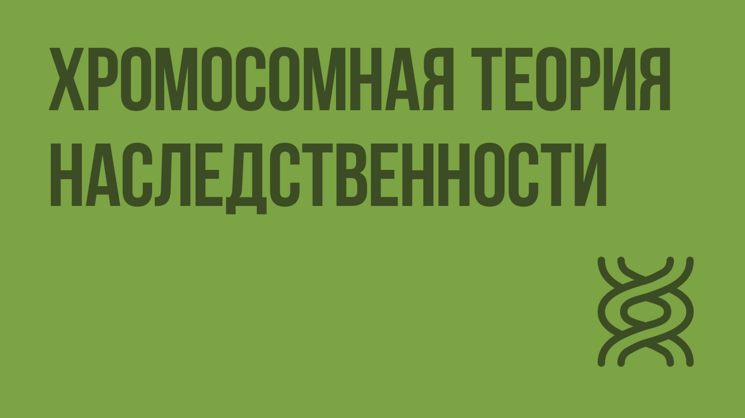 Хромосомная теория наследственности. Видеоурок по биологии 10 класс