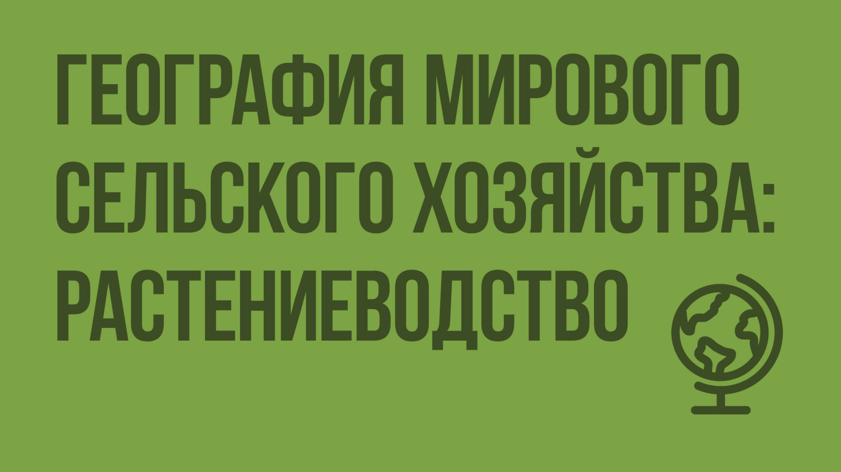 География мирового сельского хозяйства: растениеводство. Видеоурок по географии 10 класс