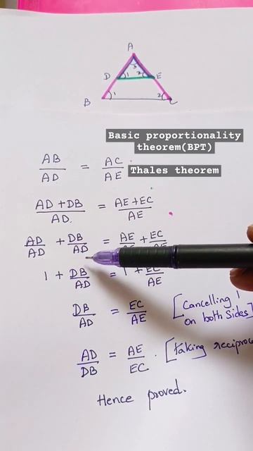 10 th Maths _Thales theorem proof _part 3 (BPT) check playlist for full proof